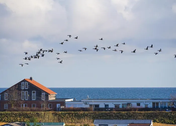 Apartment Mit Meerblick
